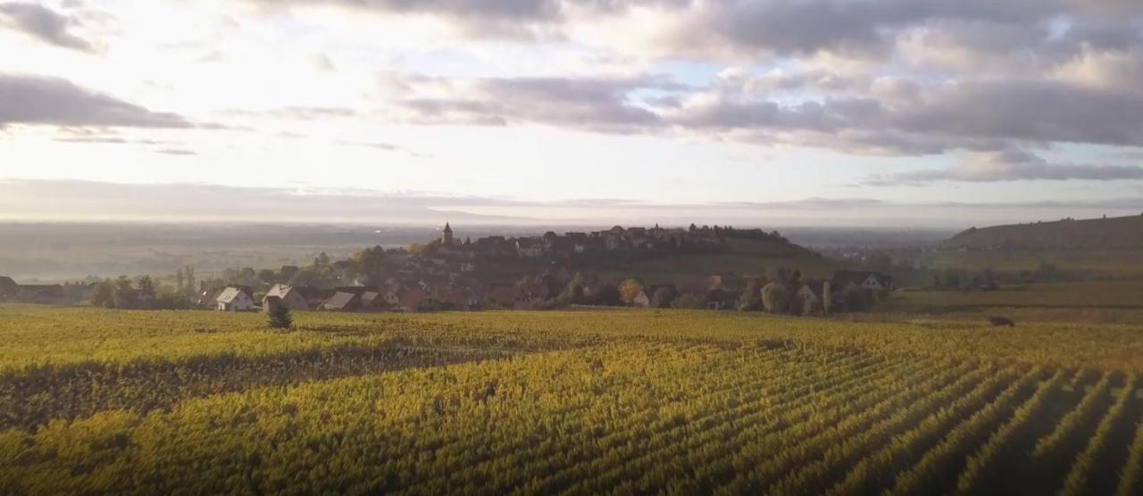 Le Vent D'ange * Zellenberg